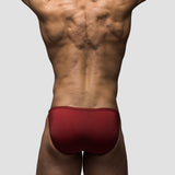 Carnal Endurance Brief