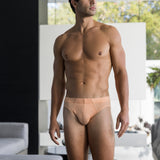 Bermuda Brief