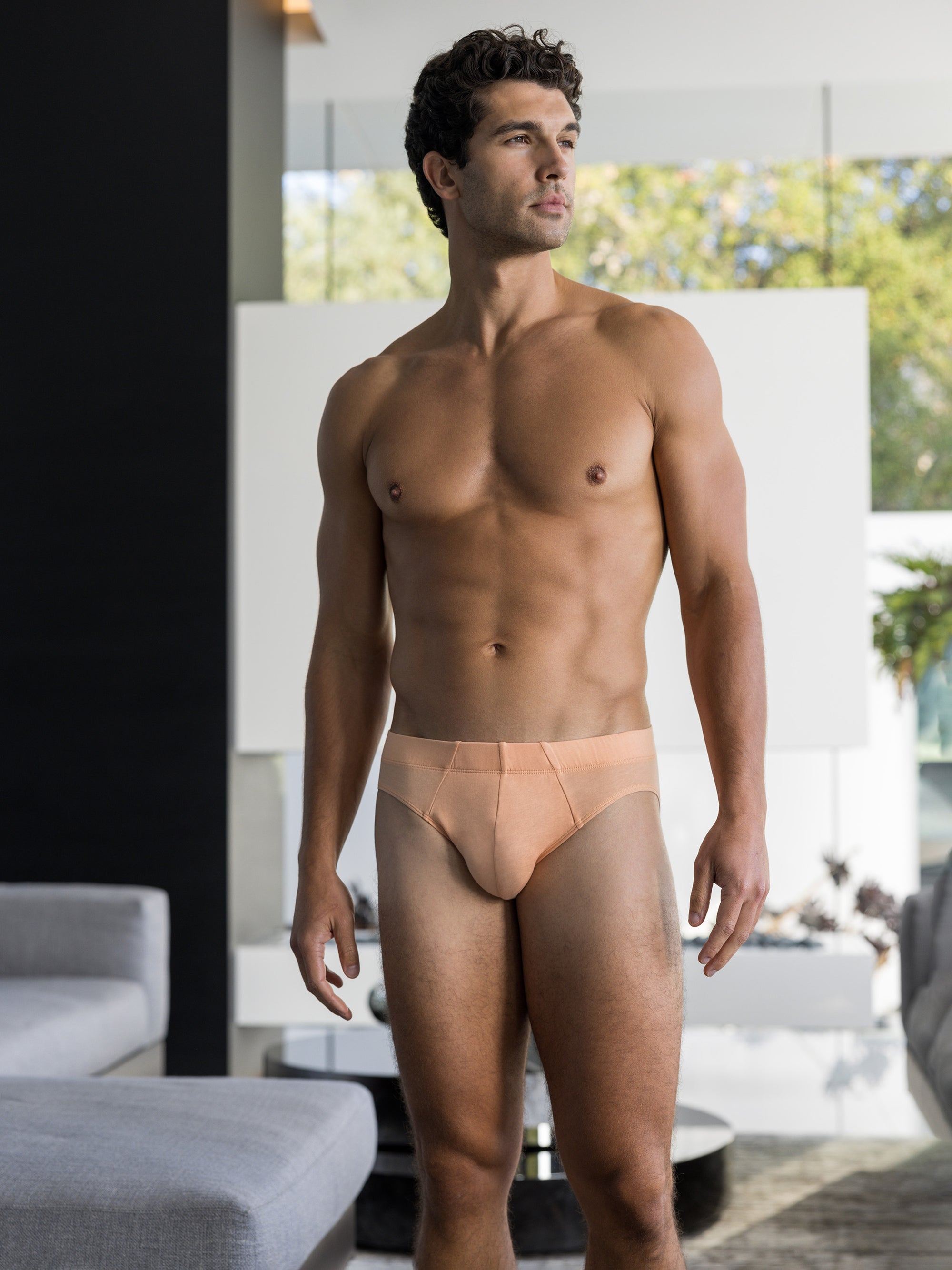 Bermuda Brief