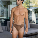 Earth Brief