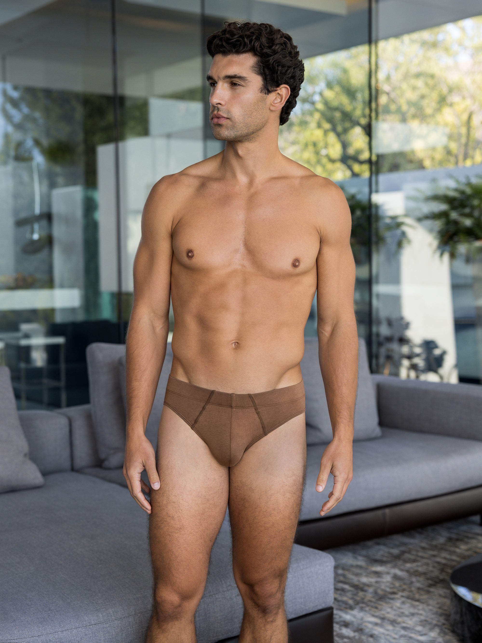 Earth Brief