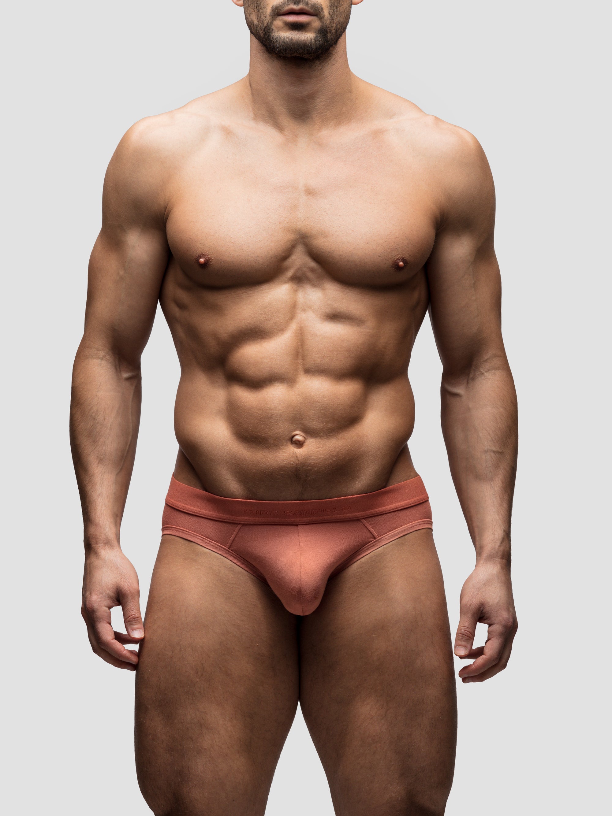 Terracotta Brief