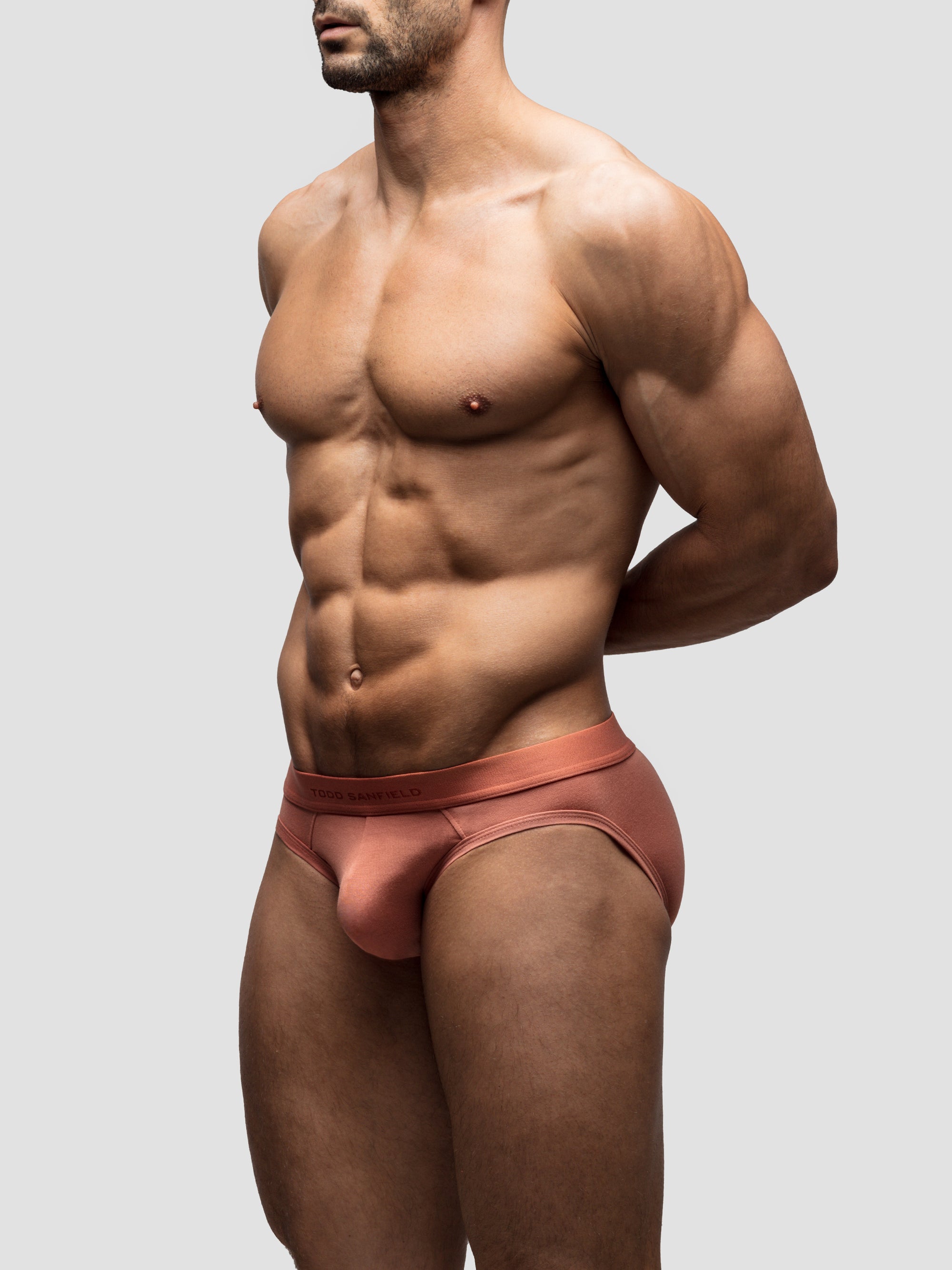 Terracotta Brief