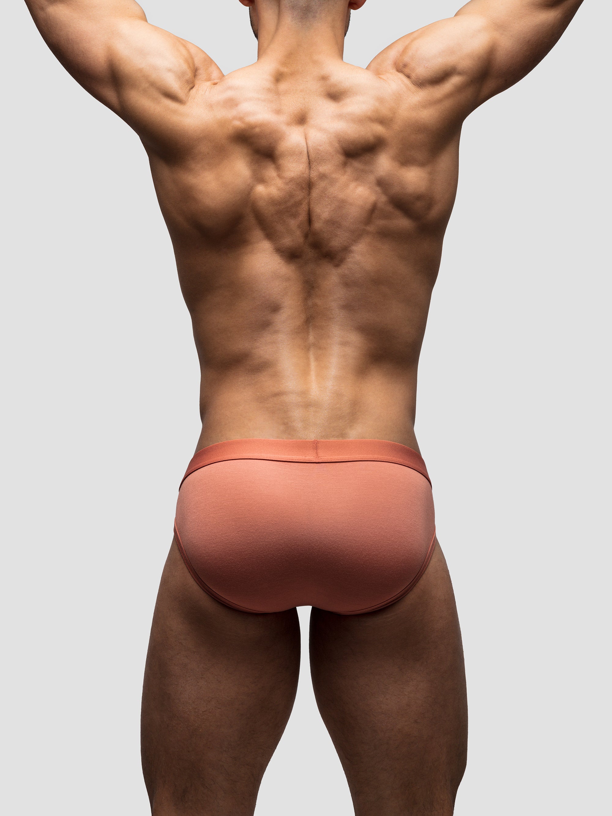 Terracotta Brief