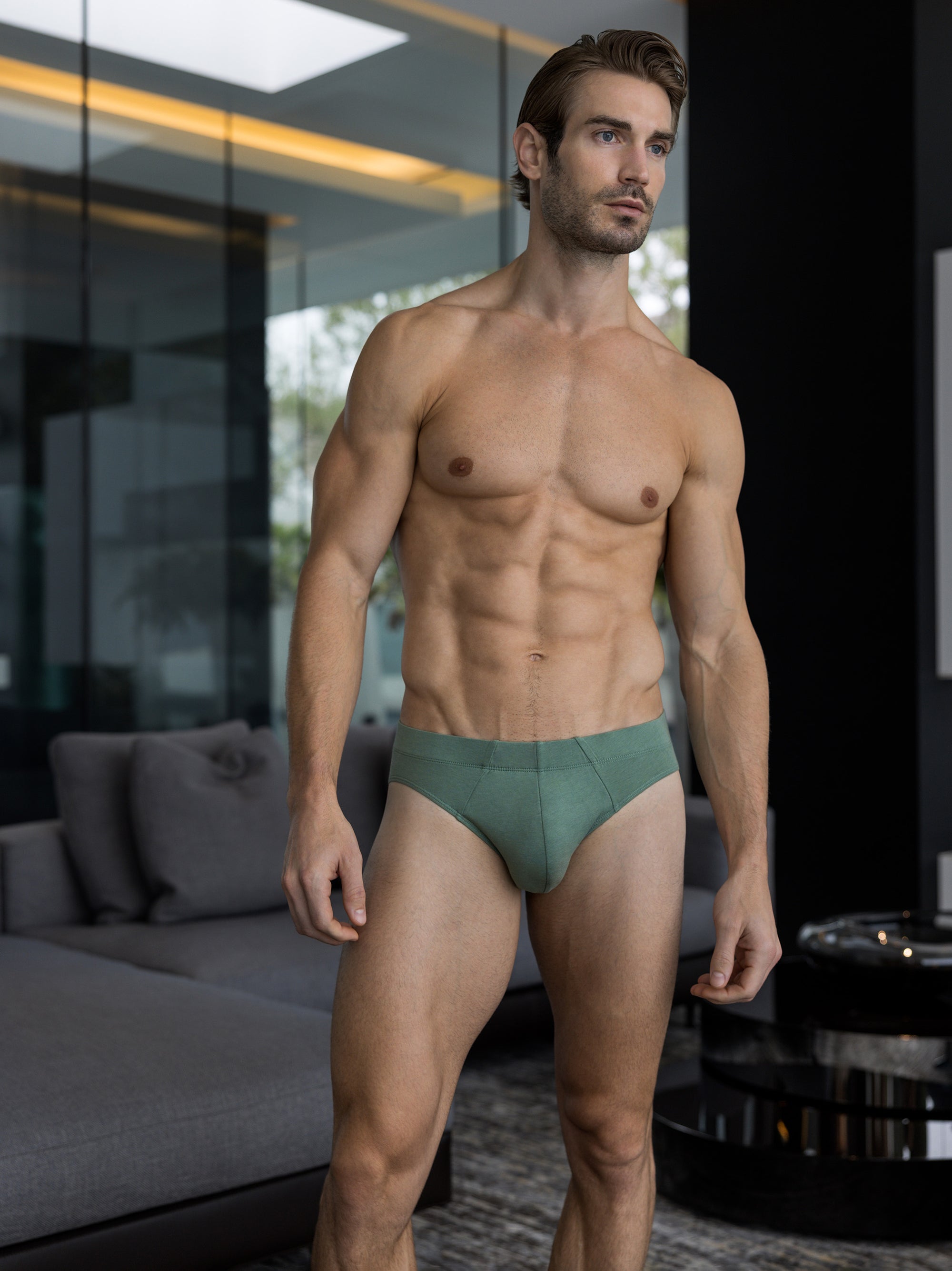 Lichen Brief