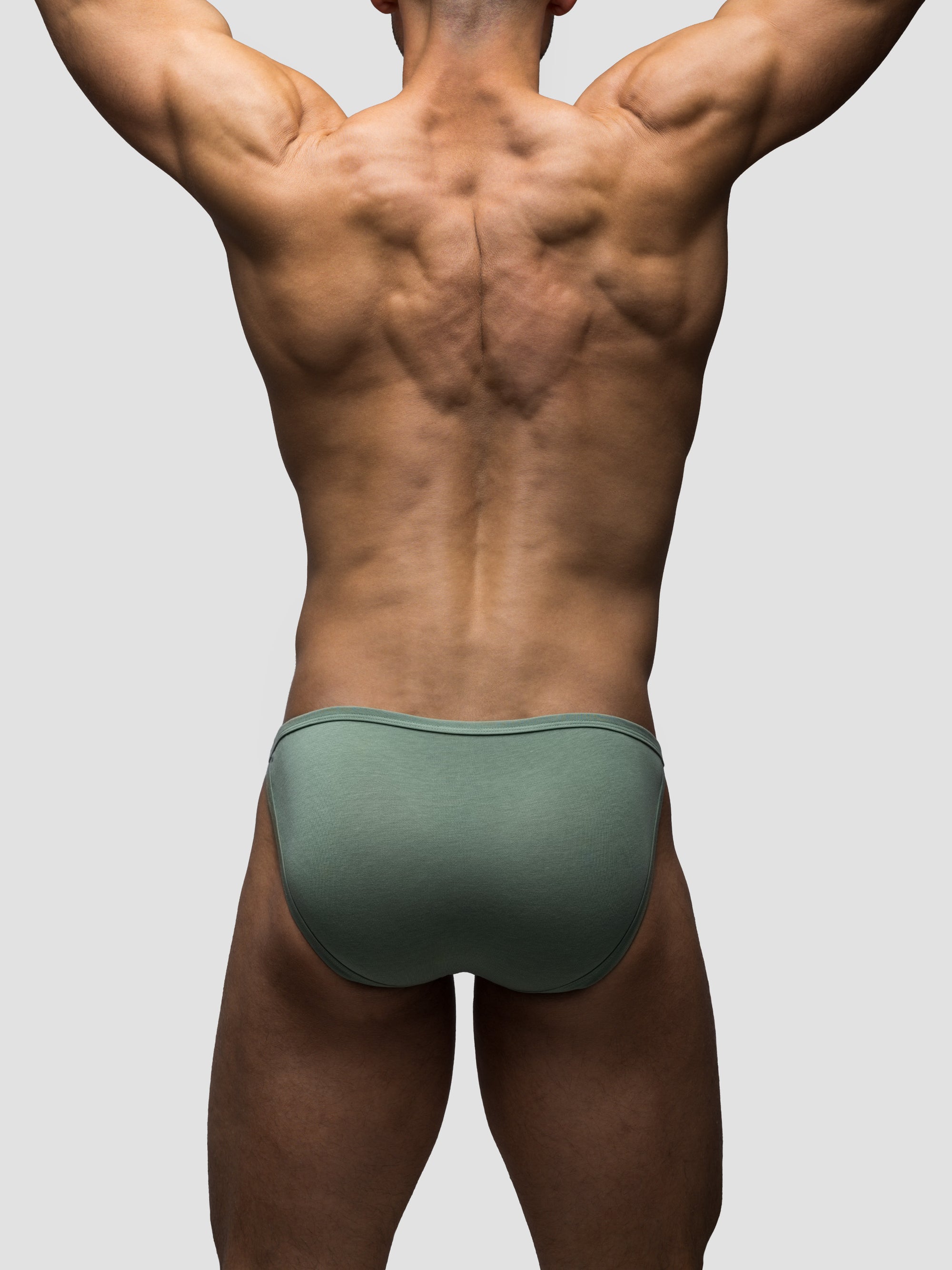 Lichen Endurance Brief
