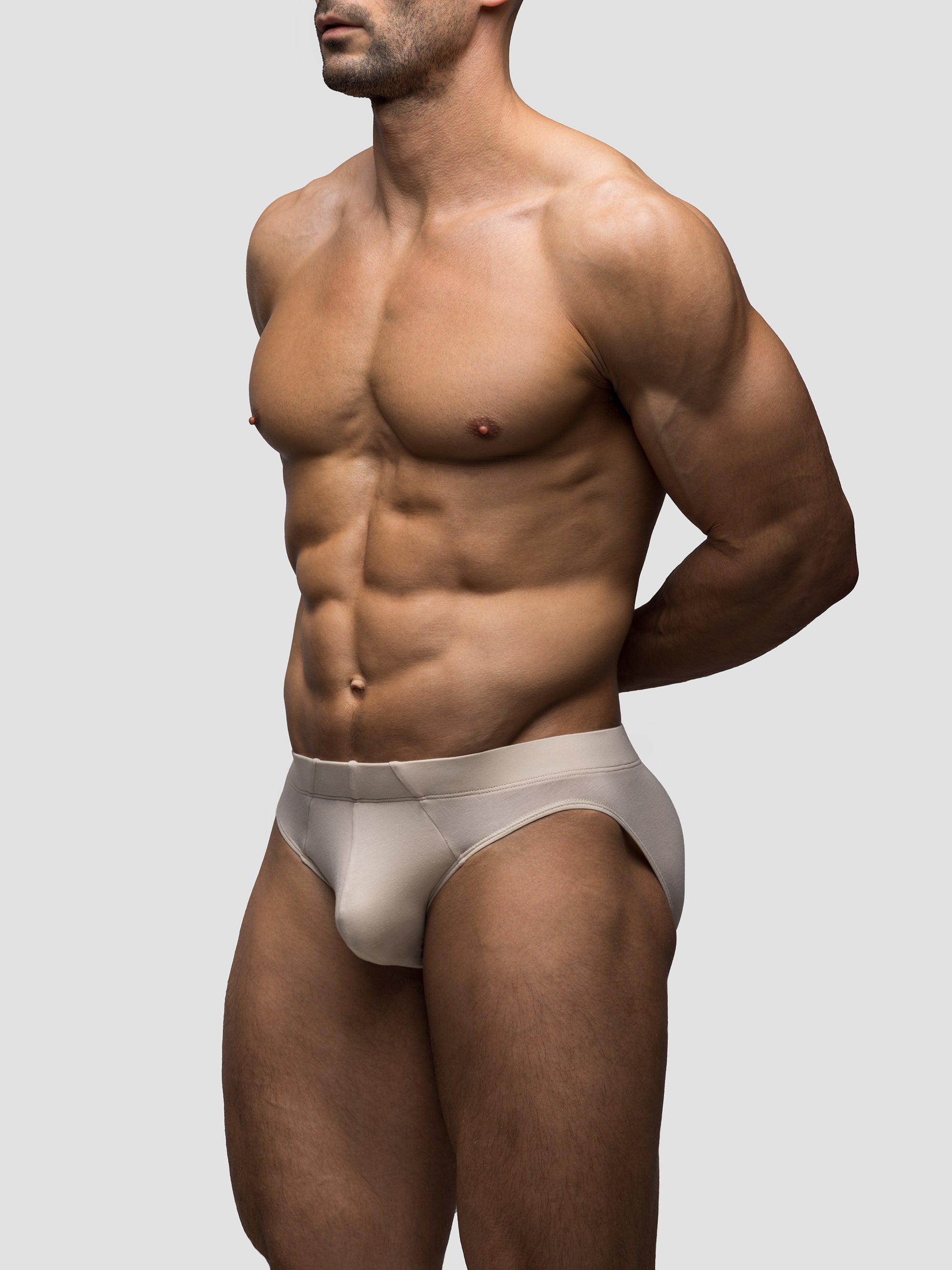 Stone Brief