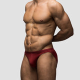 Carnal Micro Brief