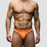 Fire Micro Brief