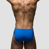 Electric Endurance Brief