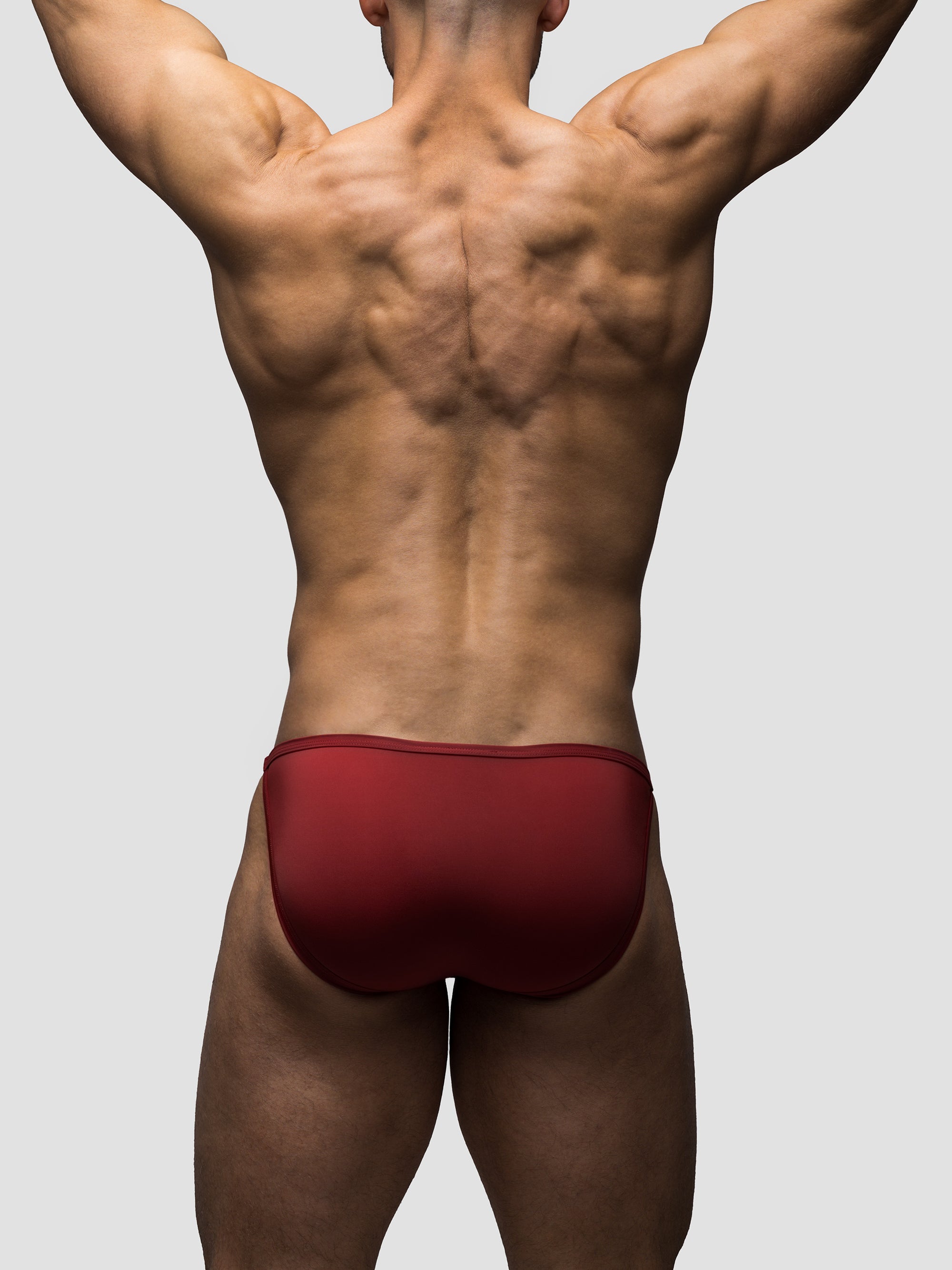 Carnal Endurance Brief