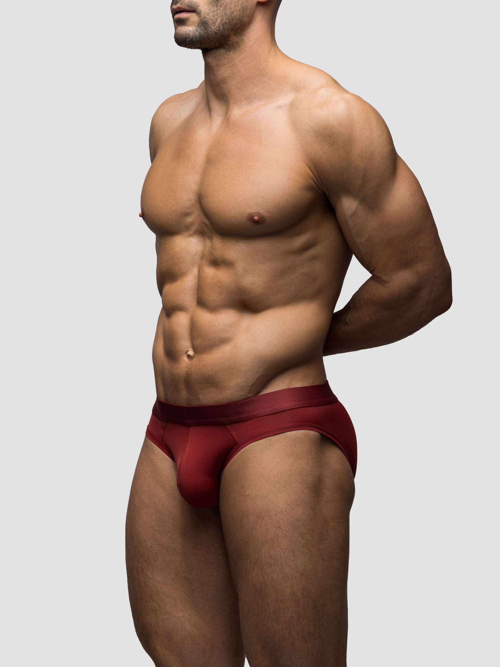 Carnal Brief