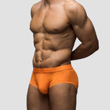 Fire Mid-Rise Brief