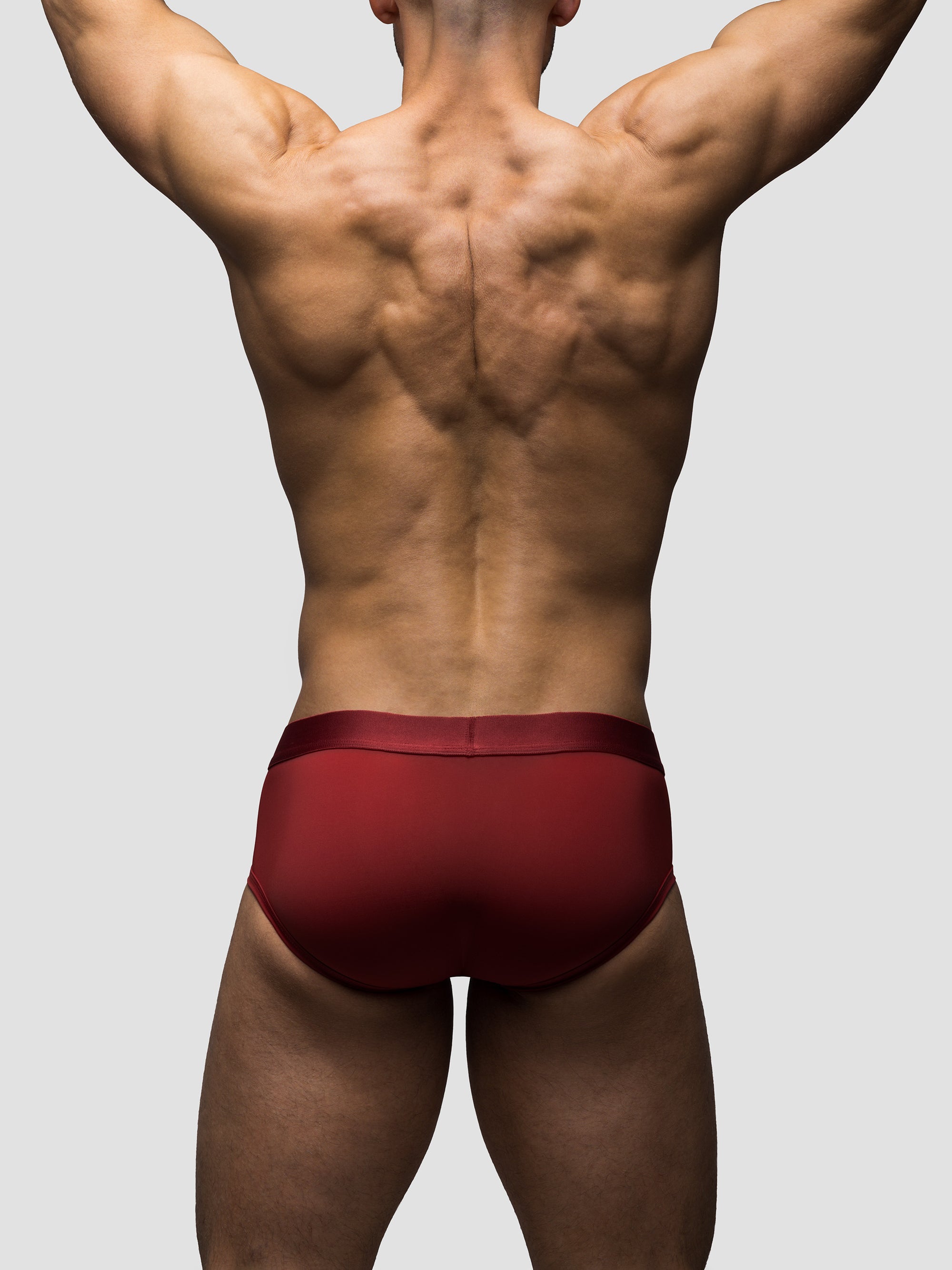Carnal Mid-Rise Brief