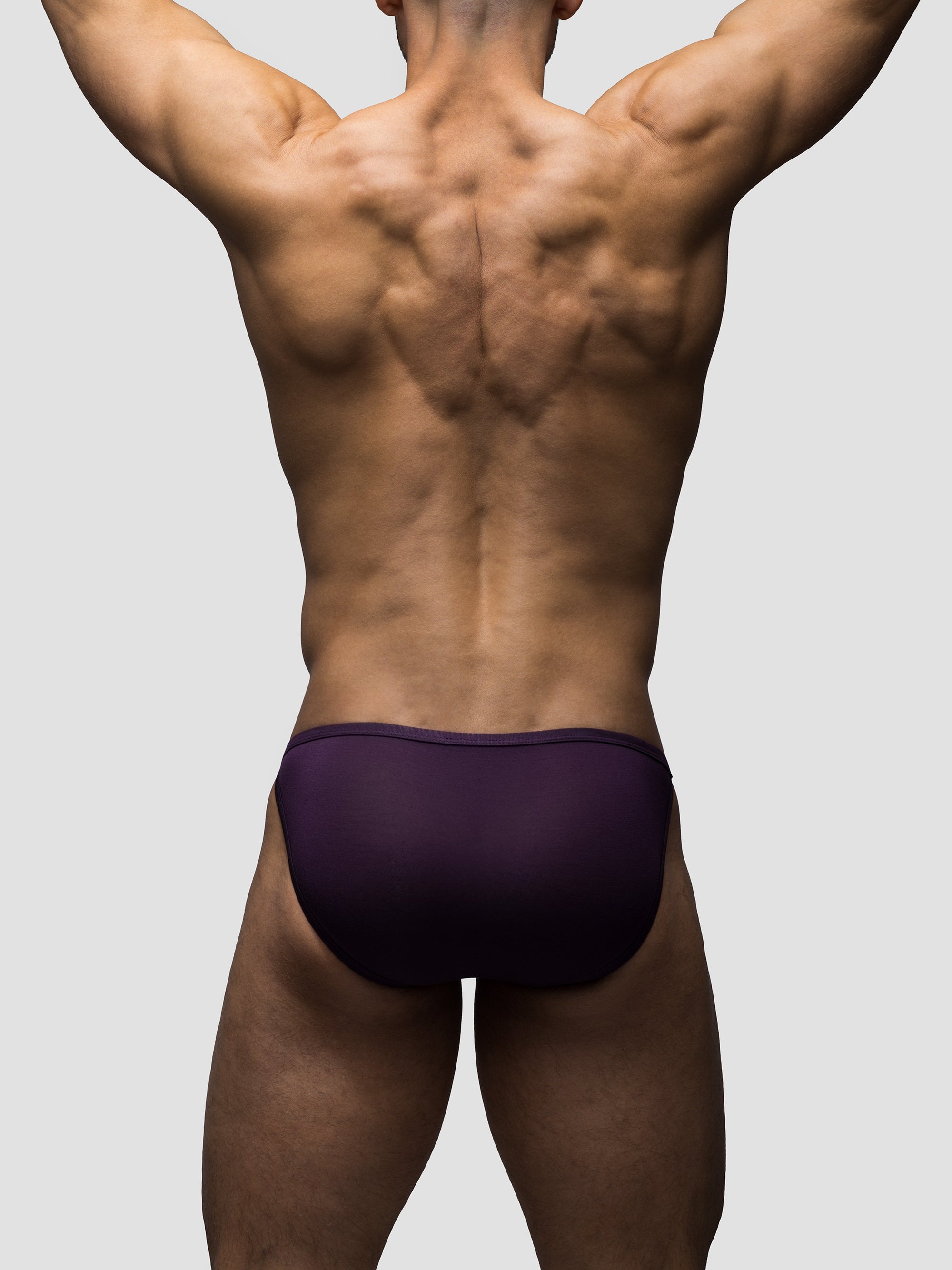 Deep Purple Endurance Brief