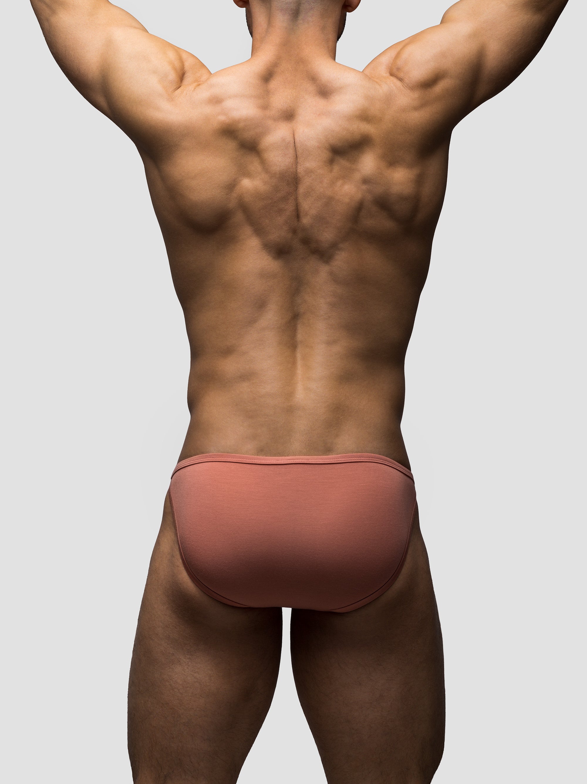 Terracotta Endurance Brief