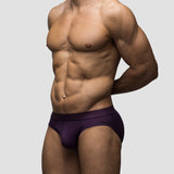 Deep Purple Brief