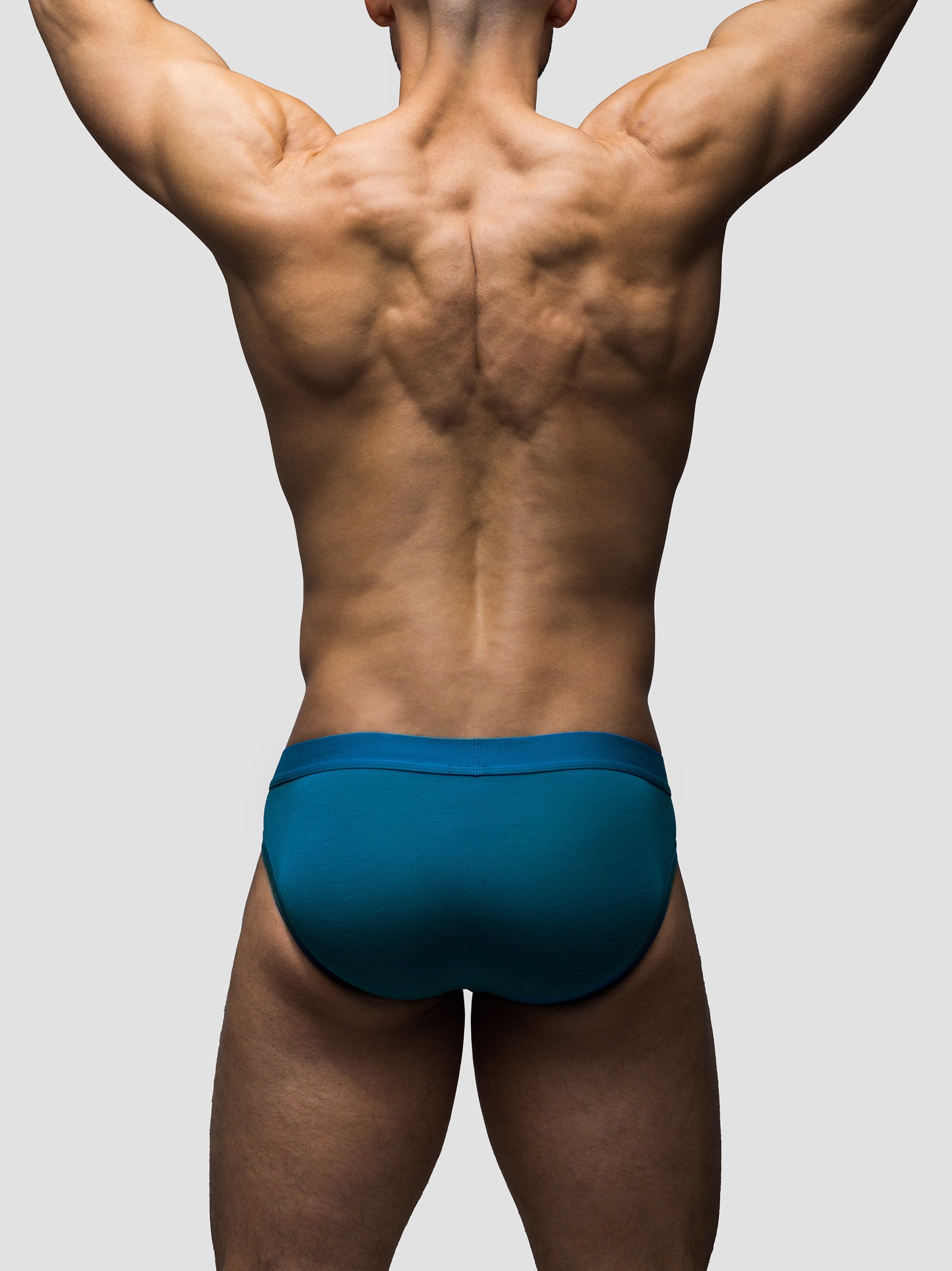 Teal Brief