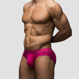Hibiscus Brief