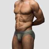 Olive Brief
