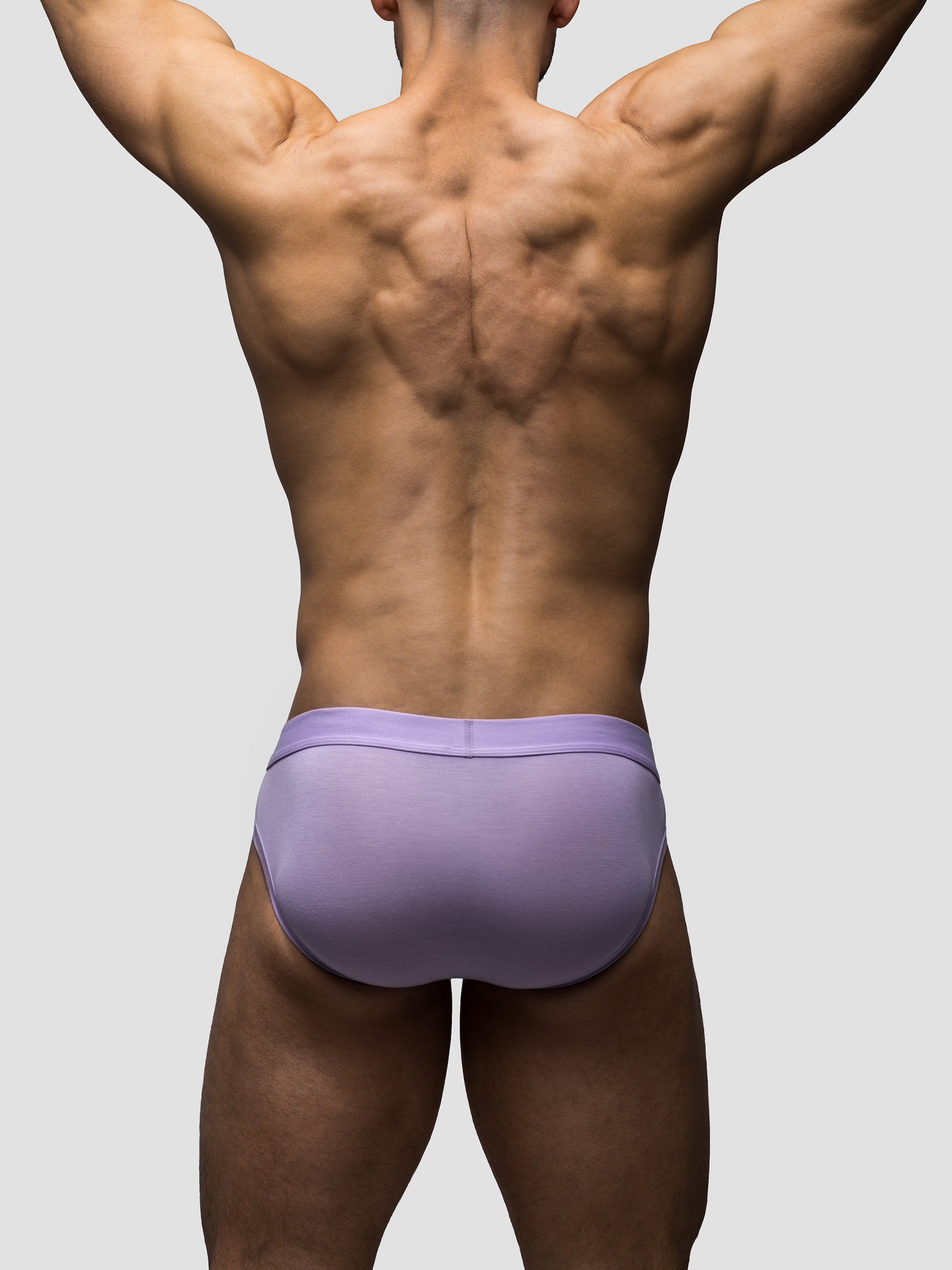 Lavender Brief