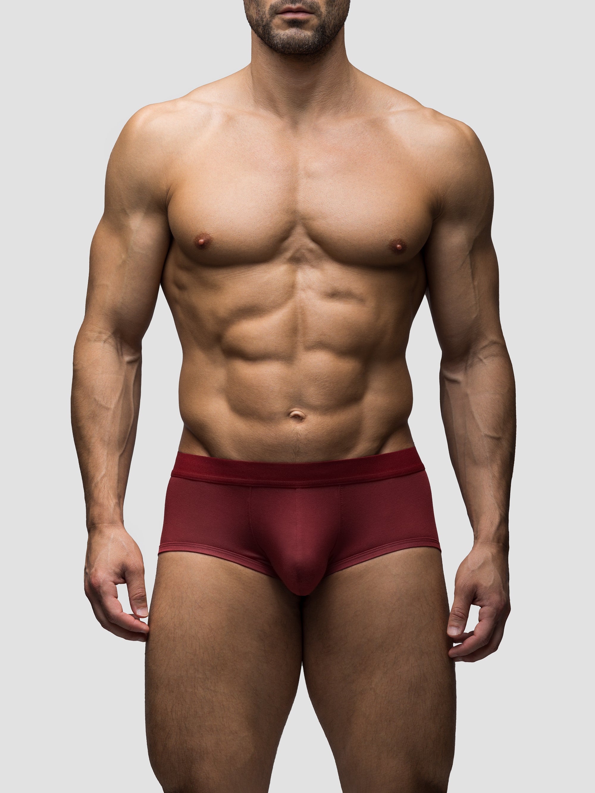 Dark Brick Mid-Rise Brief