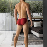 Cabernet | Mesh Bikini Brief