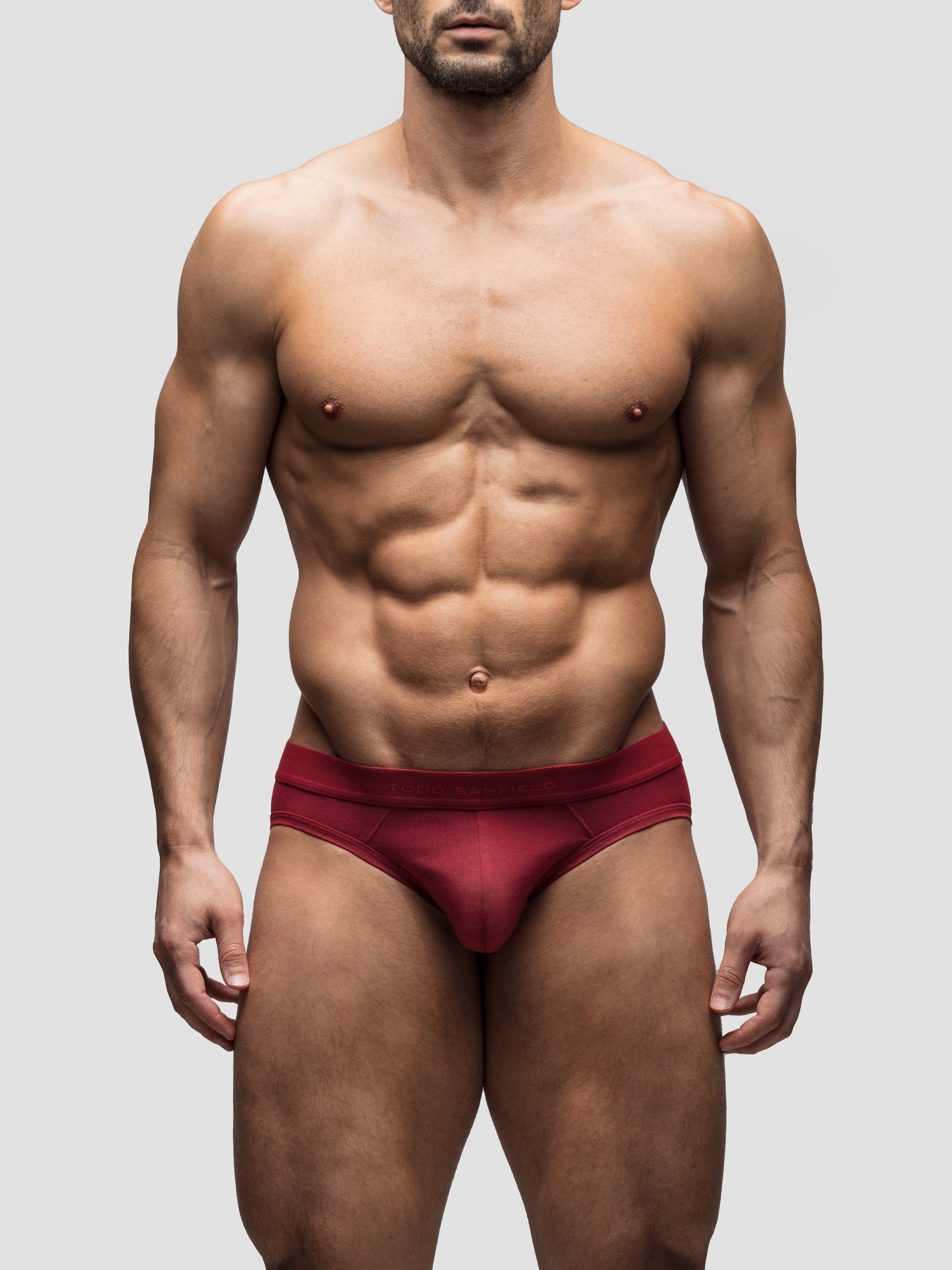 Dark Brick Brief