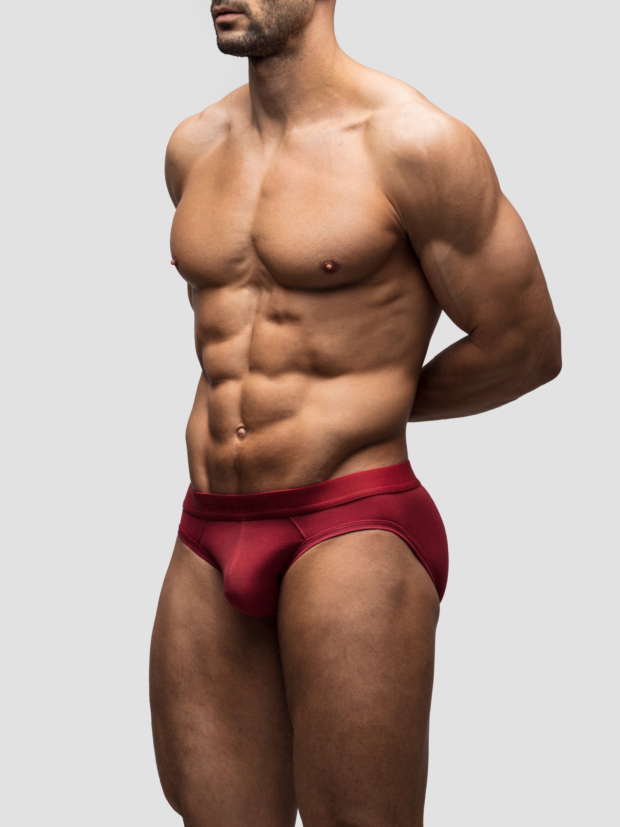 Dark Brick Brief