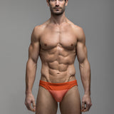 Coral Horizon | Shallow Swim Brief