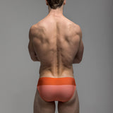 Coral Horizon | Shallow Swim Brief