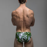 Albo | Shallow Swim Brief