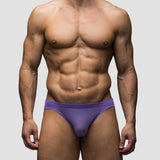 Regal | Mesh Bikini Brief