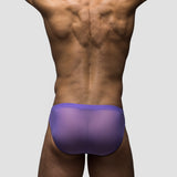 Regal | Mesh Bikini Brief