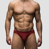 Cabernet | Mesh Bikini Brief