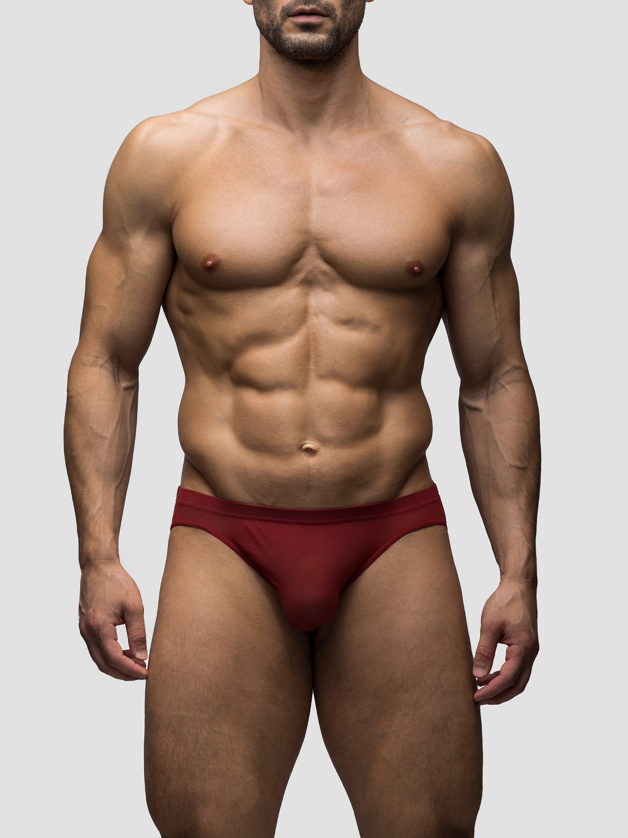 Cabernet | Mesh Bikini Brief