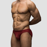 Cabernet | Mesh Bikini Brief