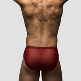 Cabernet | Mesh Bikini Brief