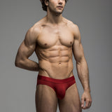 Carnal Brief