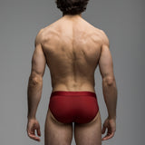 Carnal Brief