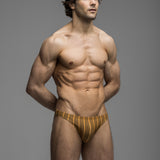 Cabana Stripe | Micro Swim Brief