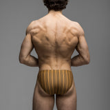 Cabana Stripe | Micro Swim Brief