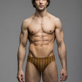 Cabana Stripe | Deep Swim Brief
