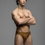Cabana Stripe | Deep Swim Brief