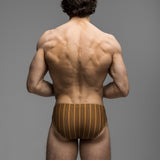 Cabana Stripe | Deep Swim Brief