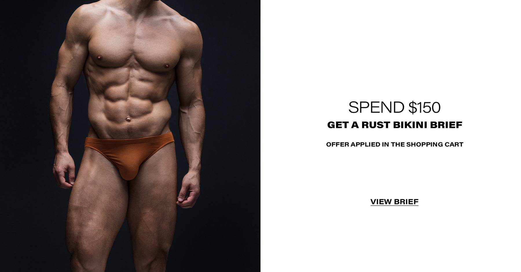 Todd Sanfield Collection