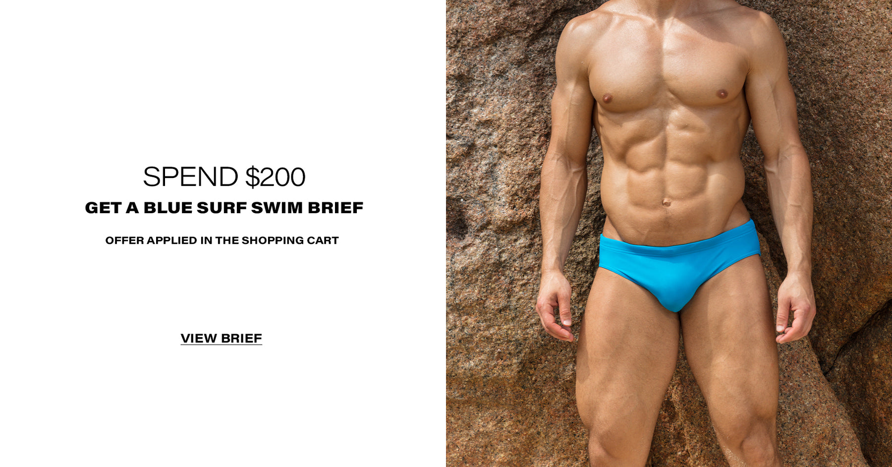 Todd Sanfield Collection