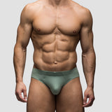 Lichen Brief