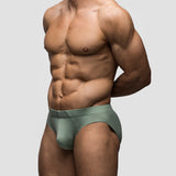 Lichen Brief