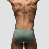 Lichen Brief